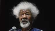 Agitation: Why I don’t like the sound of a Yoruba Nation - Wole Soyinka