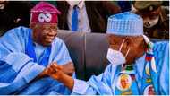 Tinubu rejoices with Ganduje at 73, describes Kano Governor a faithful friend, brother