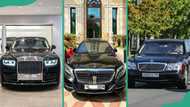 What's the biggest car in the world: a look at the top 10 record-breaking vehicles