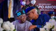 2023 presidency: Dapo Abiodun reacts after Tinubu said he made him governor