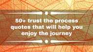 50+ trust the process quotes that will help you enjoy the journey