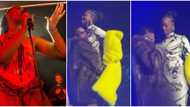 My love for Wizkid won't change: Tems finally speaks after fans accused singer of ‘harassing’ her on stage