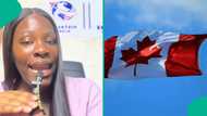 Expert explains estimated cost Nigerians need to study in Canada, shares full breakdown