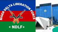 Niger Delta group petitions ICPC to probe alleged N50bn contract irregularities at amnesty office