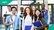 3 countries where international students can legally work while studying in 2026