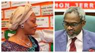 Just in: Gbajabiamila, Tinubu, others get new APC appointment