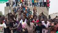 FG opens portal for nationwide registration of Nigerians aged 15 to 35