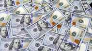 The Importance of Money: An Exhaustively Comprehensive Exploration