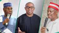 Atiku, Obi, Kwankwaso have agreed to form merger party, Utomi says, speaks on name