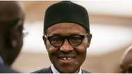 Niger, Togo, other African countries to receive unused electricity from Nigeria