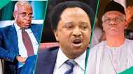 "You've no right": Shehu Sani replies Amaechi, El-Rufai over claims that Tinubu is poorly performing