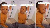 "Who broke my son's heart?": Mum funnily laments as her kid confesses in video that he doesn't like girls