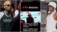 “Lil bro is truly gifted”: US singer Chris Brown praises Rema’s talent as he reacts to video on how they met