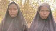 An Samu Karin Wasu 'Yan Matan Chibok Da Suka Tsero Daga Hannun Boko Haram