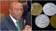 Nigerian bitcoin investors divided over CBN's digital currency plan