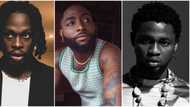 "Fireboy & Omah Lay are farmers?" Davido names next big 5 in music industry, video sparks criticisms
