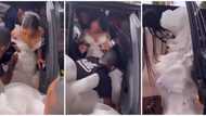 Video of bride struggling to fit her bulky wedding dress into car sparks reactions