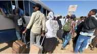 Sudan crisis: Huge relief as Egypt finally opens border for stranded Nigerians