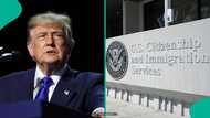 US citizenship test: History of the naturalisation exam and why applicants are required to take it