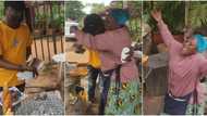 Corn seller gets emotional as she receives help of N103k from customer, video stirs massive reactions