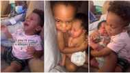 Boy raises hell, 'makes trouble' as his baby brother is taken from him, he cries bitterly in touching video