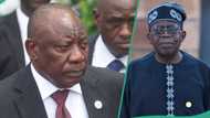 Did South Africa president Ramaphosa shun Tinubu during inauguration in Pretoria? Fact emerges