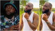 "E nor easy, Baddest songs too many": Trending video shows moment Davido forgot his lyrics in an interview