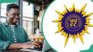 Science subjects for WAEC 2024: The list and all the details