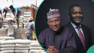 Reps issue ultimatum to Dangote, BUA, other cement manufacturers on new prices