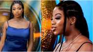 BBNaija 2021: Meet Angel, the first female Shine Ya Eye contestant who has 11 tattoos