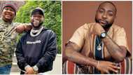 "You don forget Obi": Mixed reactions as Cubana Chiefpriest announces Davido’s impending return, shares video