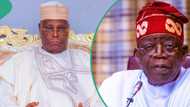 Igbo leader reveals what Atiku should do after Chicago University mission: “Allow Tinubu to breathe”