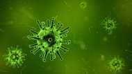 Coronavirus in Nigeria: everything you need to know about the new threat