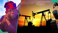 Tinubu lied about Nigeria producing 1.6m barrels of oil per day? Fact emerges