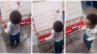 "2-year-old genius": Smart kid perfectly solves mathematics questions, gets 8 answers correctly