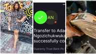 "N200k alert in 24 hours": Good female teacher who quoted Flutterwave's tweet gets bombarded with cash gifts