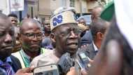 JUST IN: Student unions form youth association to support Tinubu in 2023