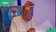 "It seems Tinubu is preparing to handover Nigeria to youth after his 8 years": Analyst