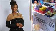 Fans spoil BBNaija winner Phyna with N5m cheque, money cake, luxury shoes, bags, other items