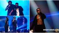 Wizkid's Suya rant, 'bromance' with Olamide, other moments from singer's concert sighted in 7 exclusive videos