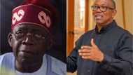 2023 presidential election: BBC says INEC results show Peter Obi defeated Bola Tinubu in Rivers State