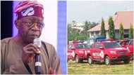 Nigerians react as Tinubu breaks silence on Amotekun, calls for dialogue