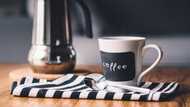 Discover the best coffee quotes and sayings to soothe your soul
