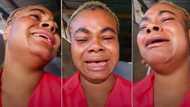 "I have been doing this business for 4 years": Poultry farmer in tears after seeing 100 chickens lifeless