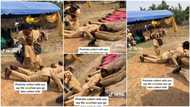 "Wife don offend am": Man refuses to prostrate well during traditional wedding as men lay flat on floor