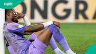 "Pain safely landed in Abuja and Lagos": South Africans jubilate as Zimbabwe clip Eagles wings