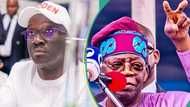 "Never mind noise makers": Tinubu sends strong message to Edo-governor-elect, Okpebholo