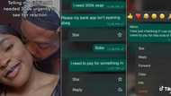 "Na better babe I get": Chats leak as Nigerian man asks girlfriend for whopping N300k, she responds