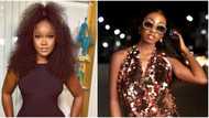 BBNaija All Stars CeeC slams Doyin over demands of respect as the Head of House: "Imagine this rat"