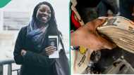 "Study in China for free": Apply for Chinese scholarship that pays N383,000 as monthly stipend